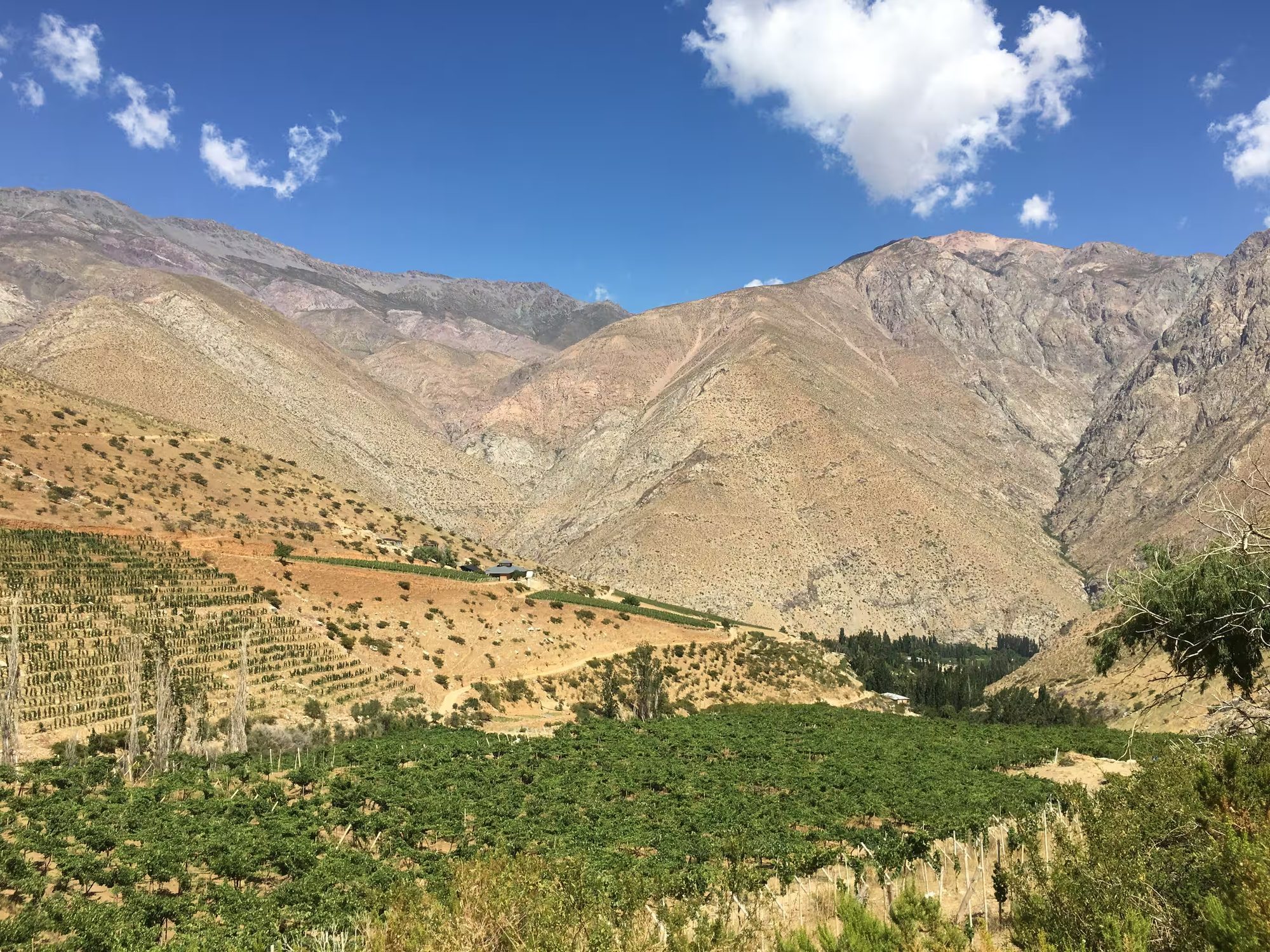 Elqui Valley, Alcohuaz, Chile